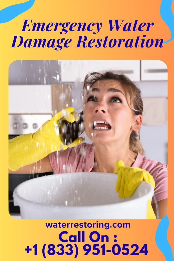Emergency Water Damage Restoration in Crescent Bar, WA